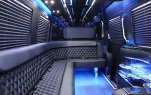 sprinter_limo_interior-2